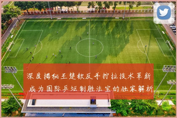 深度揭秘王楚钦反手拧拉技术革新 成为国际乒坛制胜法宝的独家解析